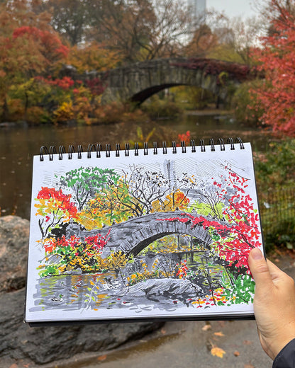 Central Park, Gapstow bridge Fall
