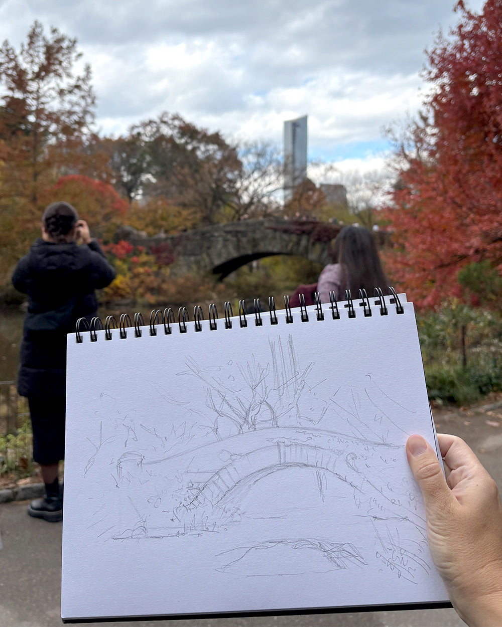 Central Park, Gapstow bridge Fall